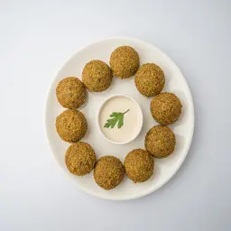 Regular Falafel and Tahini Sauce